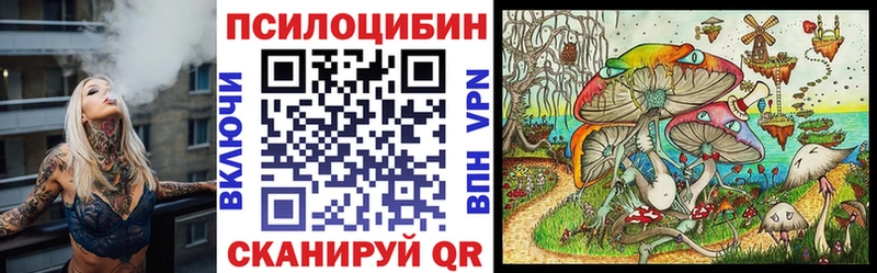 Галлюциногенные грибы MAGIC MUSHROOMS  даркнет сайт  Пугачёв 